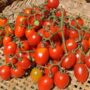 p 9115 tomato_grappoli_dinverno2 90x90
